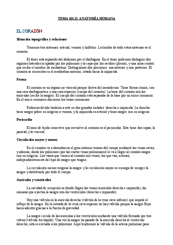 Miniatura del documento Tema 4[4.1]- Anatomía.pdf