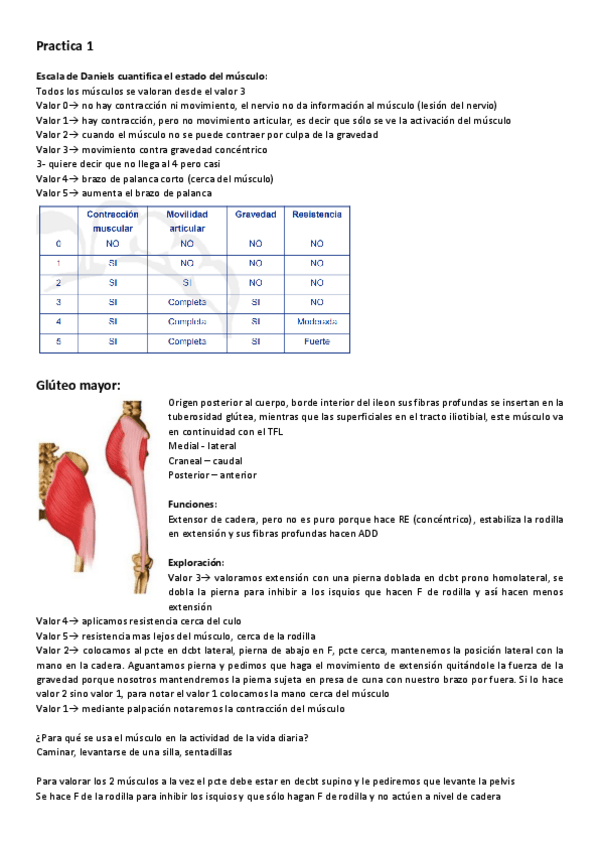 Miniatura del documento TFP-practicas.pdf