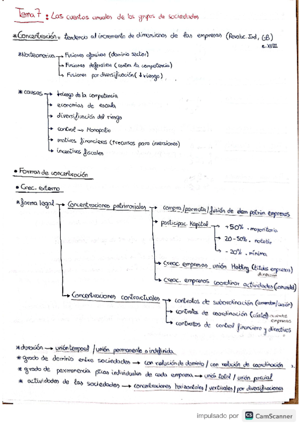 Miniatura del documento RESUMEN-TEMA-7.-SOCIEDADES.pdf