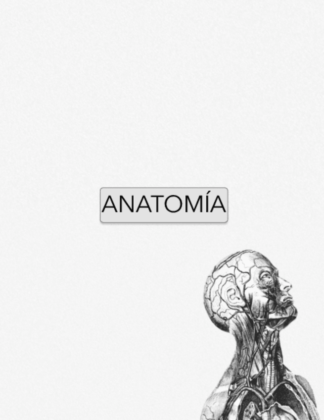 Miniatura del documento Anatomia.pdf
