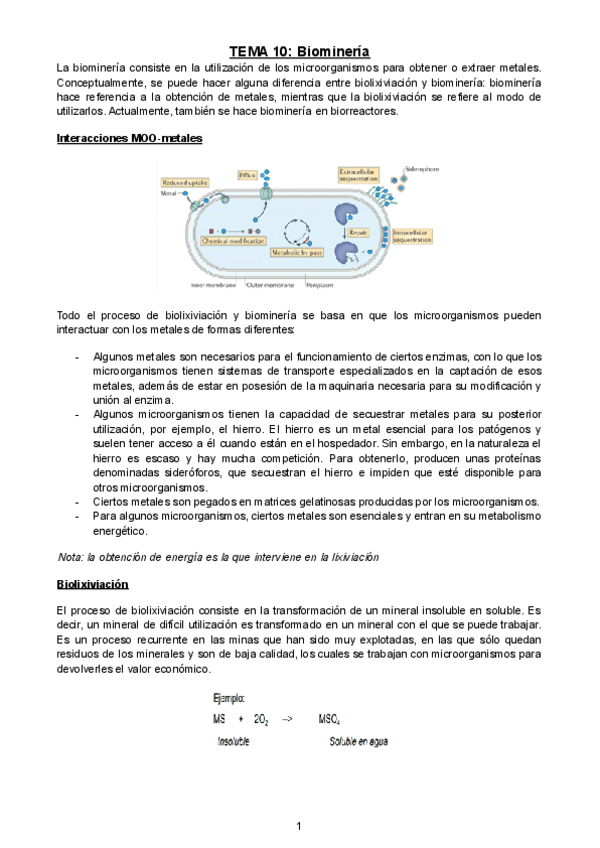 Miniatura del documento TEMA-10-Biomineria.pdf