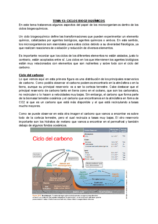 Miniatura del documento TEMA-13-CICLOS-BIOGEOQUIMICOS.pdf