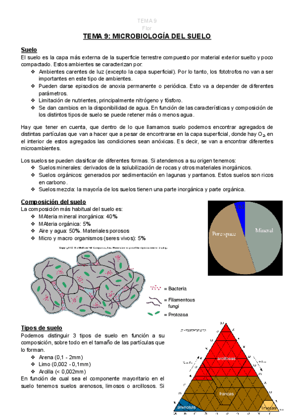 Miniatura del documento TEMA-9-.pdf