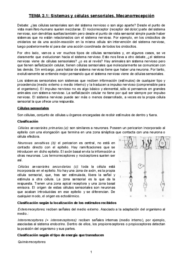 Miniatura del documento TEMA-3.pdf