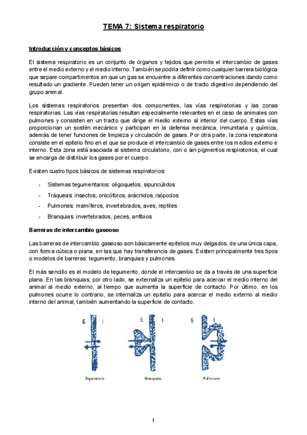 Miniatura del documento TEMA-7-Sistema-respiratorio.pdf