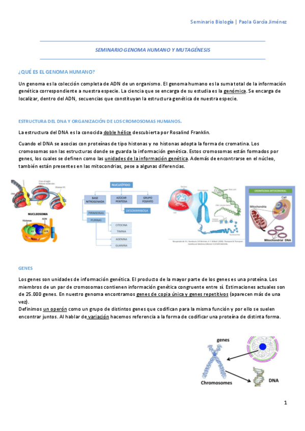 Miniatura del documento Seminario-Genoma-humano-y-mutagenesis.pdf