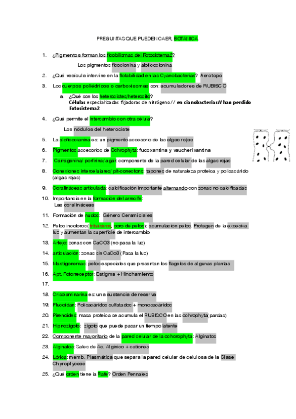Miniatura del documento preguntas-botanica.pdf