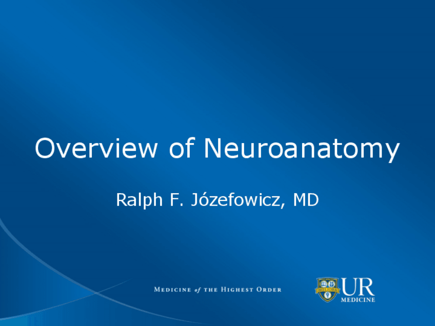 Miniatura del documento 4.-Overview-of-Neuroanatomy-1.pdf