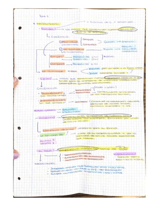 Miniatura del documento T5-nutrucion.pdf