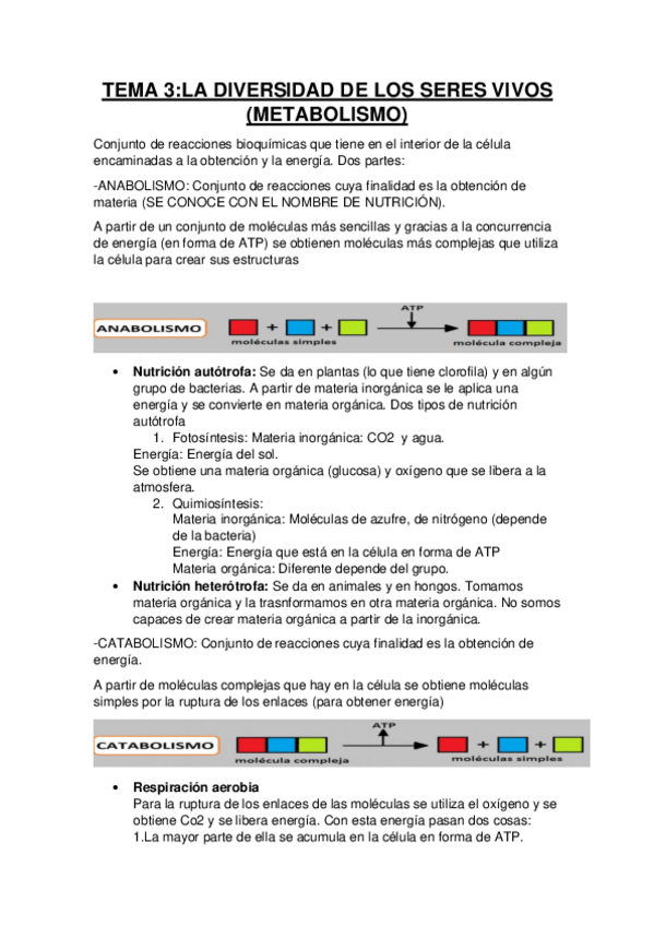 Miniatura del documento TEMA-3-METABOLISMO.pdf