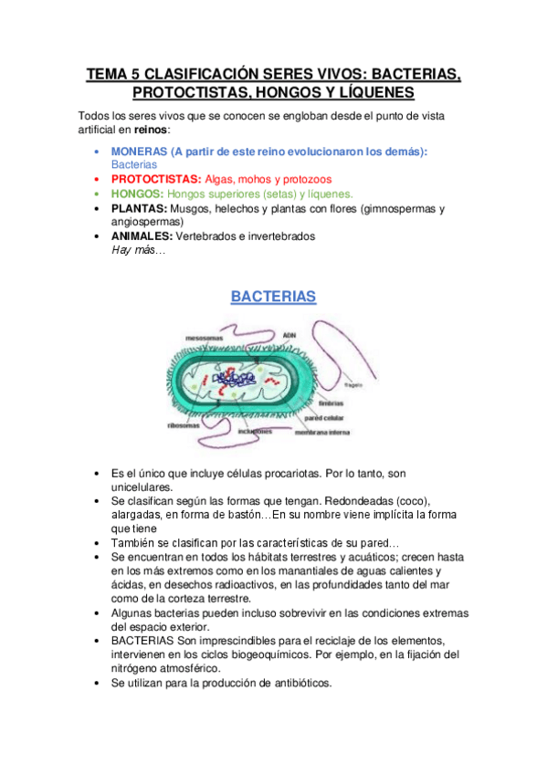 Miniatura del documento TEMA-5-CLASIFICACION-SERES-VIVOS-I.pdf