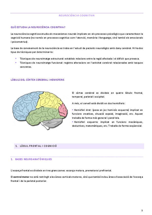 Miniatura del documento Apunts-neurociencia-cognitiva.pdf