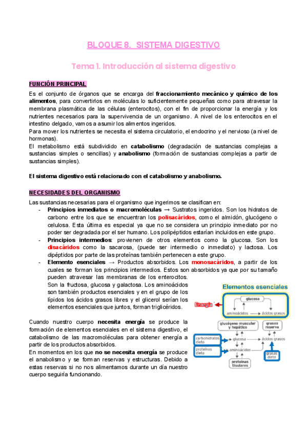Miniatura del documento B8-S.digestivo-2022.pdf