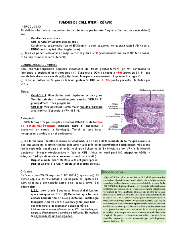 Miniatura del documento Apa-ginecologia.pdf
