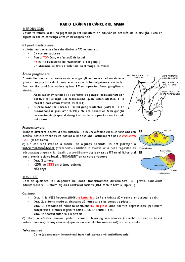 Miniatura del documento RT-mama.pdf