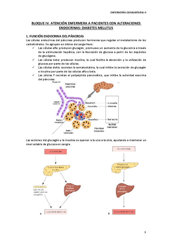 Miniatura del documento BLOQUE-IV.pdf