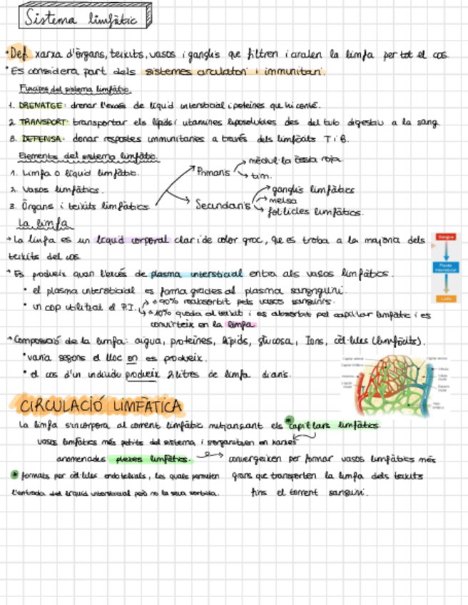 Miniatura del documento Tema-8-Sistema-linfatico.pdf