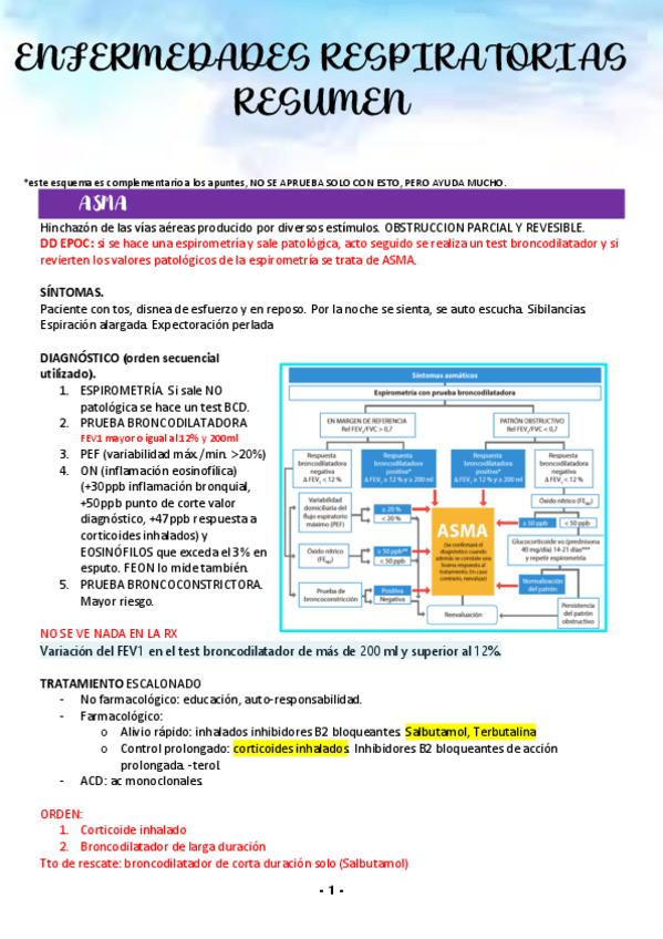 Miniatura del documento ESQUEMA-RESUMEN-RESPIRATORIO-2022.pdf