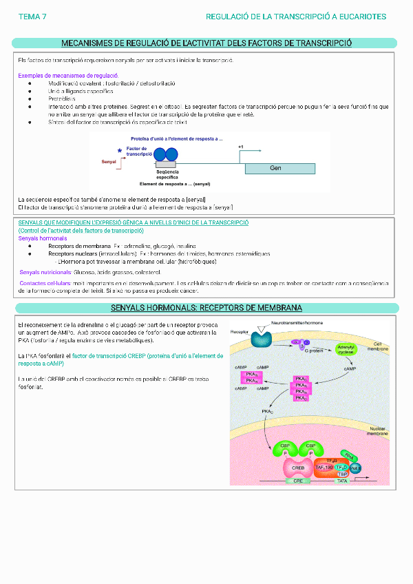 Miniatura del documento BIOMOL-T7.pdf