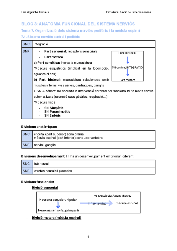 Miniatura del documento BLOC-3-ANATOMIA-FUNCIONAL-DEL-SISTEMA-NERVIOS.pdf