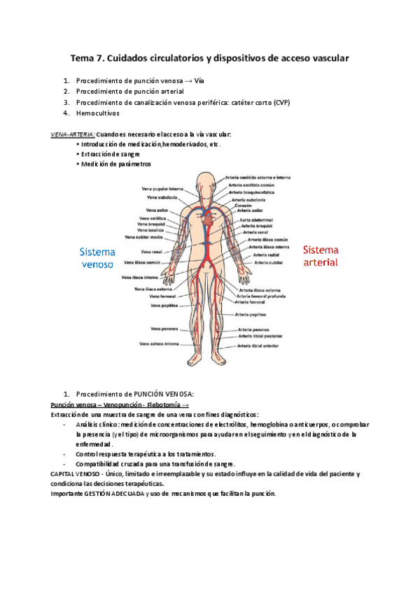 Miniatura del documento Tema-7.pdf