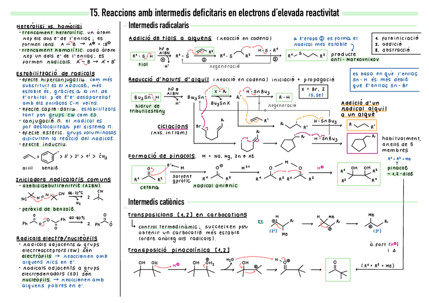 Miniatura del documento Resum-T5.pdf