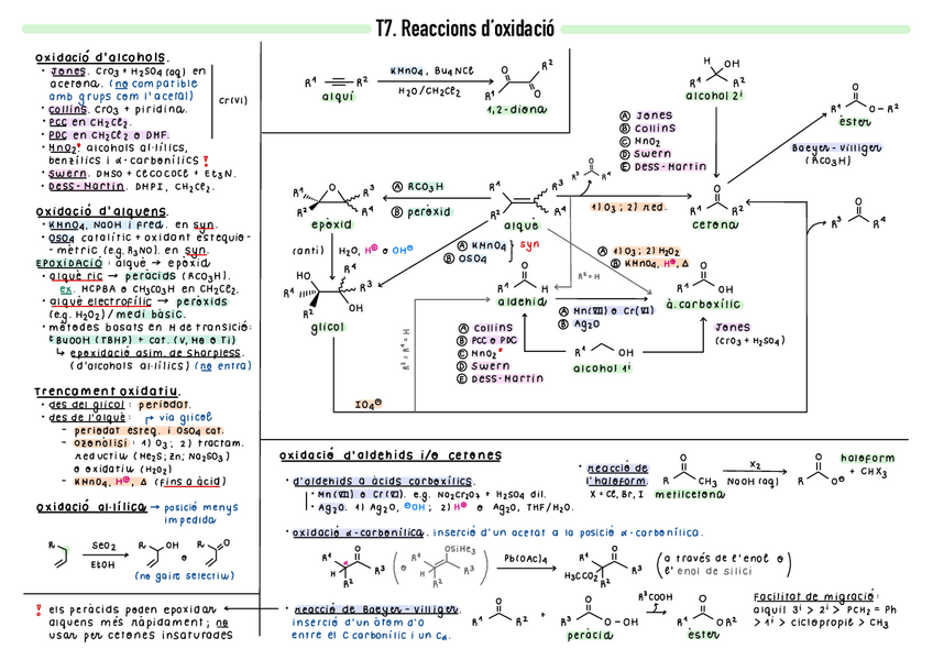 Miniatura del documento Resum-T7.pdf