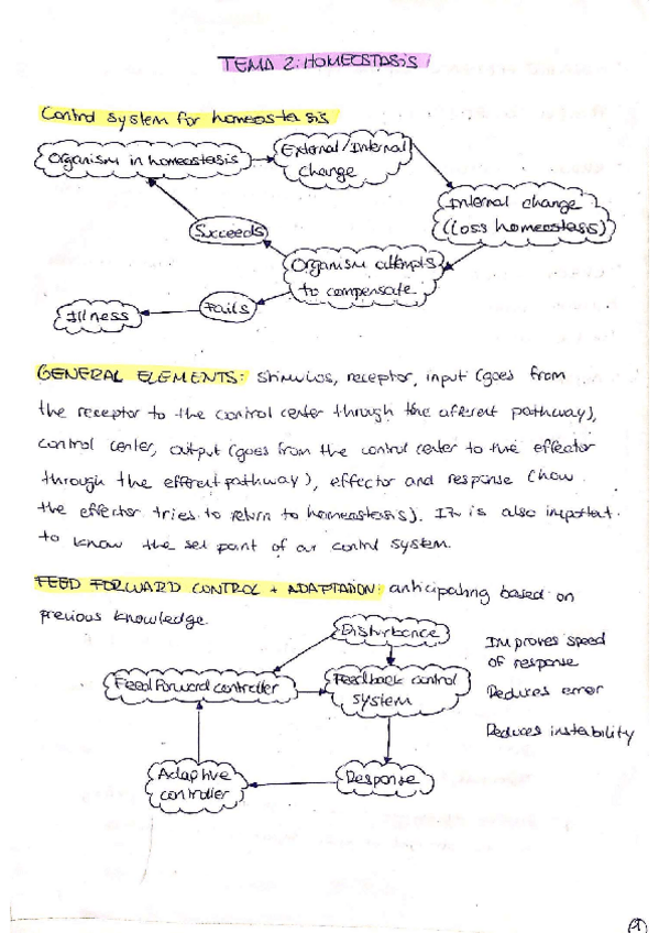 Miniatura del documento units-2-4-summary.pdf