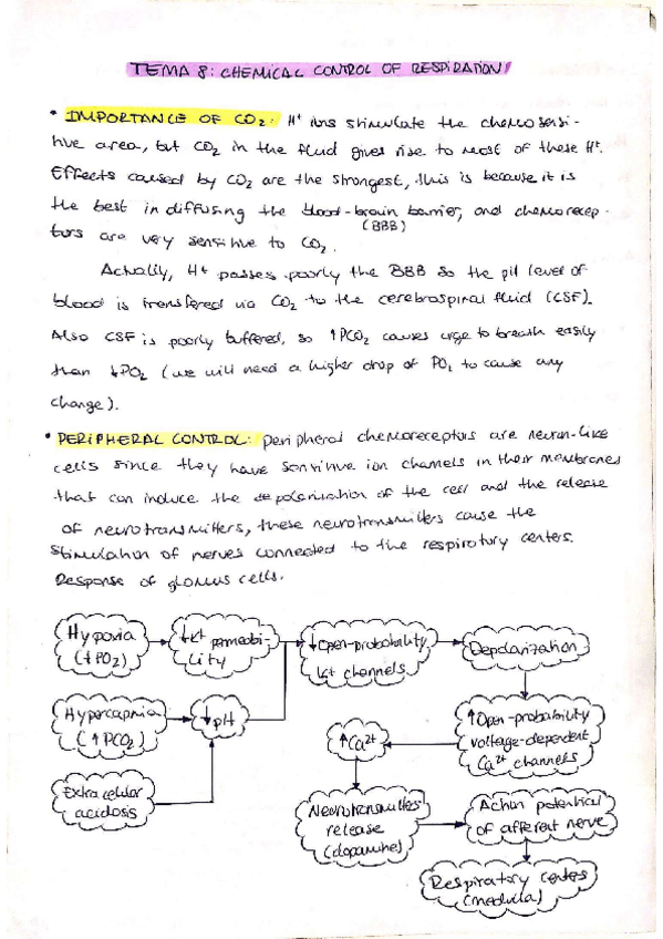 Miniatura del documento units-8-9-summary.pdf