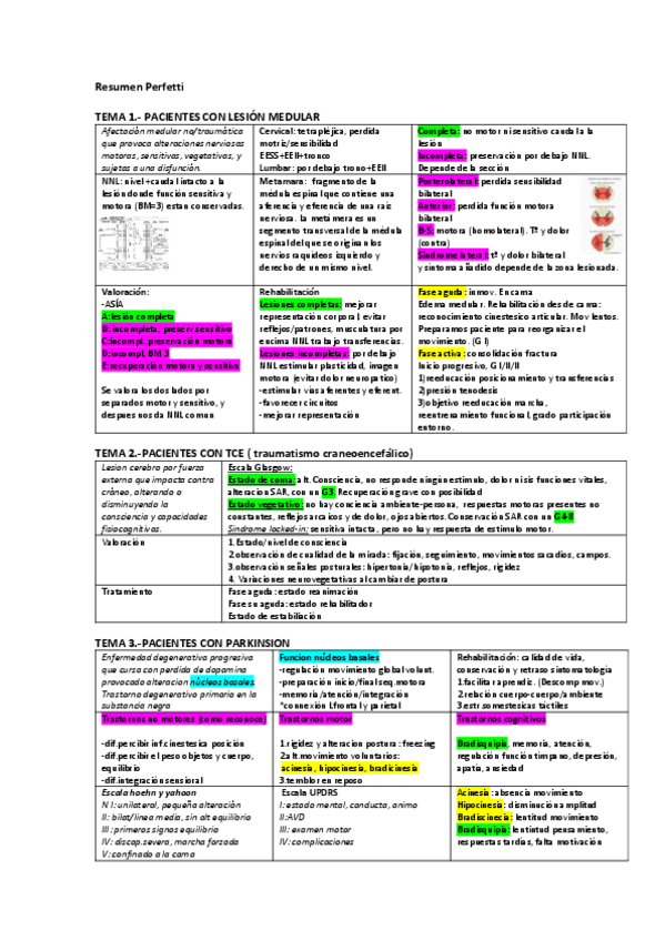 Miniatura del documento Resumen-Perfetti.pdf