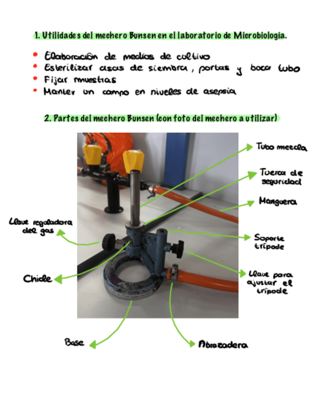 Miniatura del documento Practica-Mechero-Bunsen.pdf