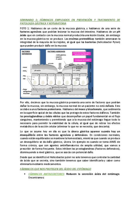Miniatura del documento TODOS-LOS-SEMINARIOS-FARMA-BASICA-2022-2023.pdf