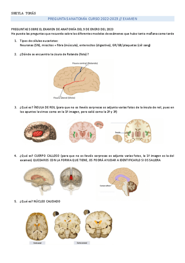 Miniatura del documento PREGUNTAS-ANATOMIA-2022.pdf