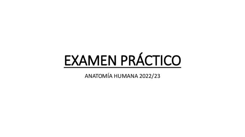 Miniatura del documento EXAMEN PRÁCTICO ANATOMÍA 2022/23.pdf