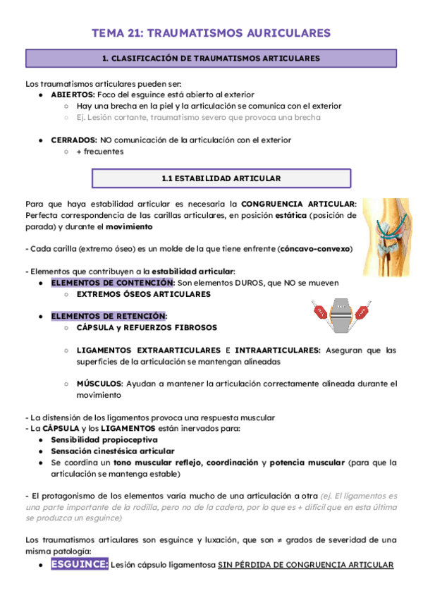 Miniatura del documento T21-TRAUMATISMOS-AURICULARES.pdf