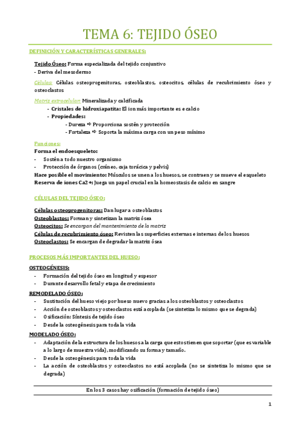 Miniatura del documento TEMA-6.pdf