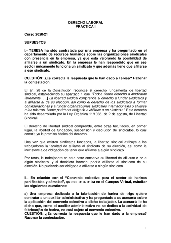 Miniatura del documento PRACTICAS-COMERCIO-LABORAL2021-Grupo-E-SOLUCION-1.pdf