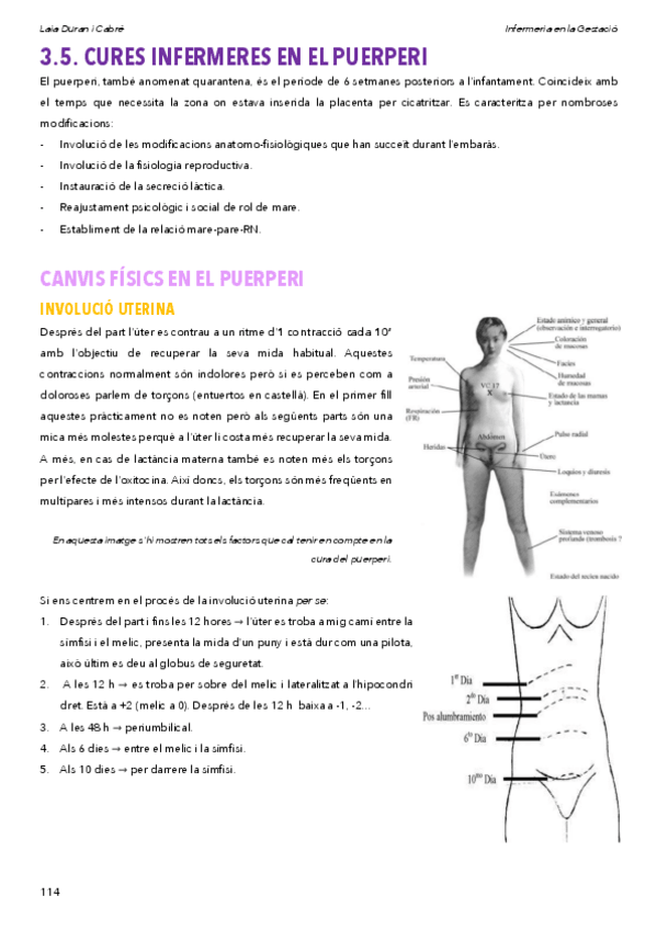 Miniatura del documento 3.5.Curespuerperi.pdf