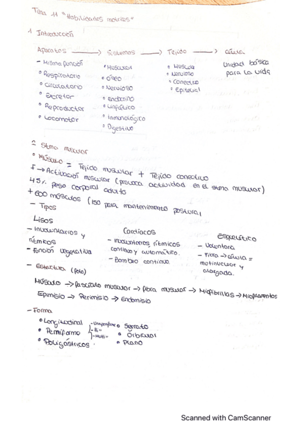 Miniatura del documento Tema-11.pdf