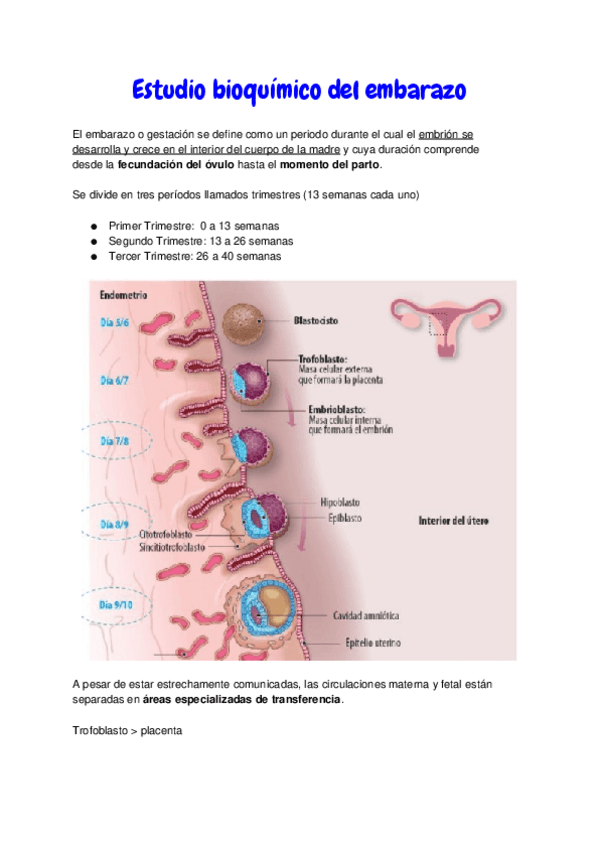 Miniatura del documento 11.-Embarazo.docx