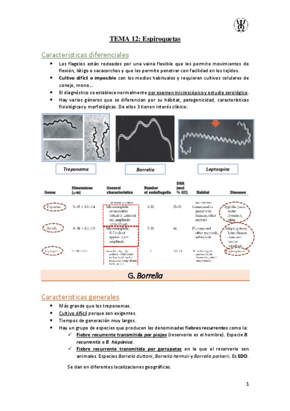 Miniatura del documento T12Espiroquetas.pdf
