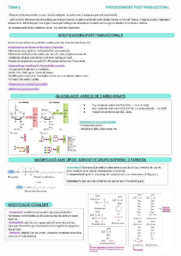 Miniatura del documento TEMA-6.pdf