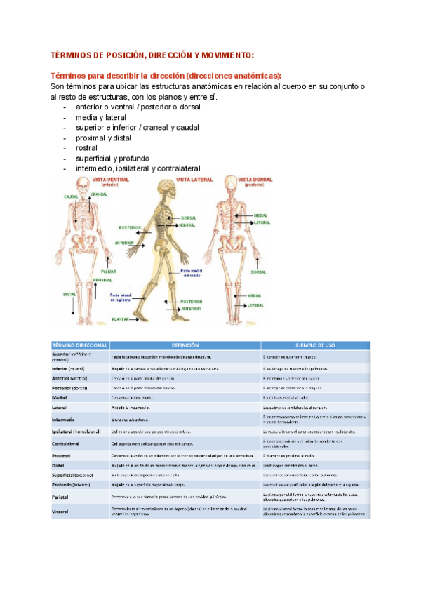 Miniatura del documento TERMINOS-DE-POSICION-DIRECCION-Y-MOVIMIENTO-1.pdf