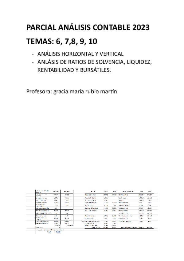 Miniatura del documento parcial-analisis-contable-2023.pdf
