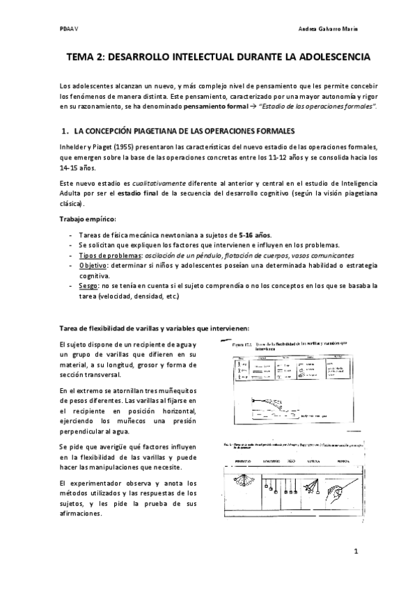 Miniatura del documento TEMA 2 DAAV.pdf