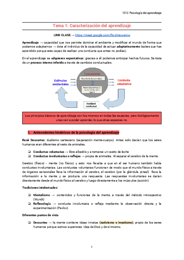 Miniatura del documento teoria-aprendizaje.pdf