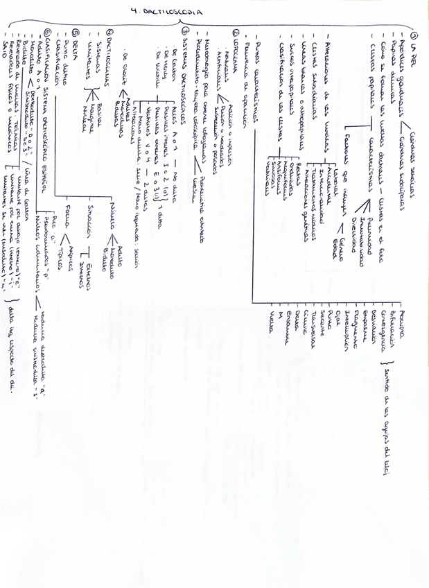 Miniatura del documento Esquema-DACTILOSCOPIA.pdf