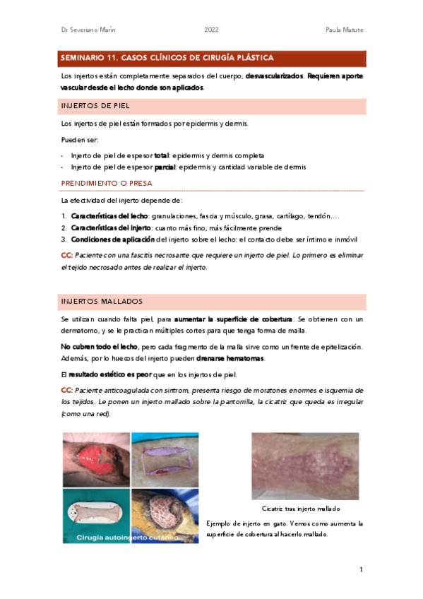 Miniatura del documento Seminario11.-CC-cirugia-plastica.pdf