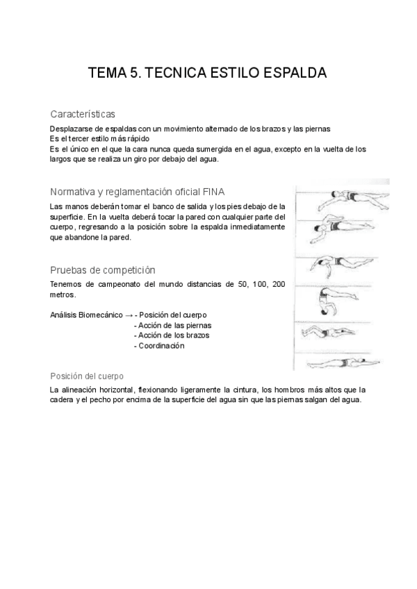Miniatura del documento TEMA-5TECNICA-ESTILO-ESPALDA.pdf