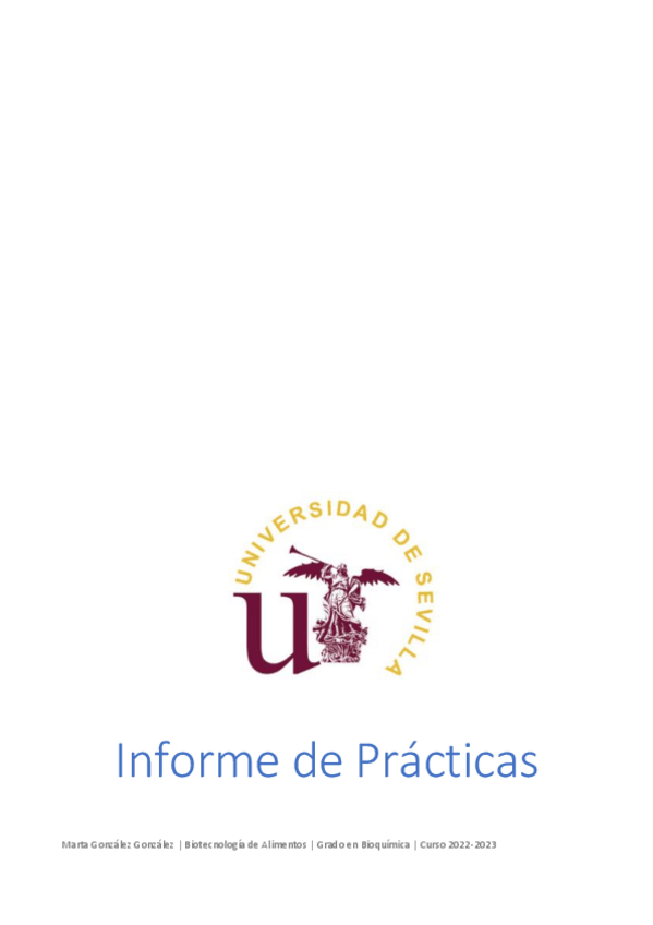 Miniatura del documento Informe-practicas-nota-9.9.pdf